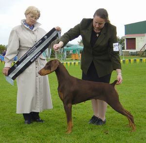 Breed Feature Photo - Unauthorised use prohibited!