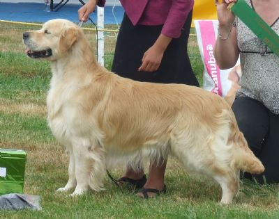 Breed Feature Photo - Unauthorised use prohibited!