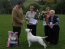 Click for more details of this dog