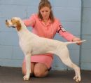 Click for more details of this dog