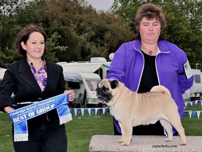 Breed Feature Photo - Unauthorised use prohibited!