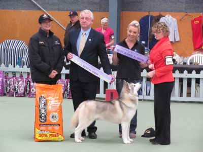 Breed Feature Photo - Unauthorised use prohibited!