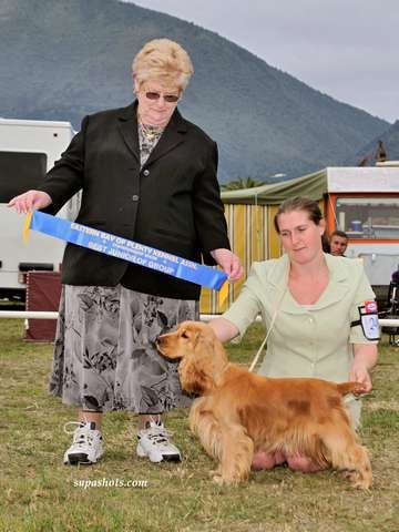 Breed Feature Photo - Unauthorised use prohibited!