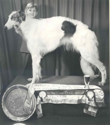 Breed Feature Photo - Unauthorised use prohibited!