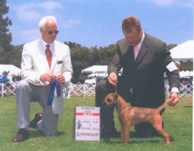 Breed Feature Photo - Unauthorised use prohibited!