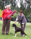 Click to see more details for this dog