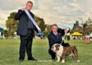 Click to see more details for this dog