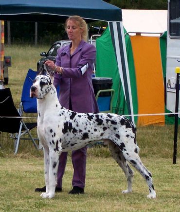 Breed Feature Photo - Unauthorised use prohibited!