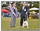 Click to see more details for this dog