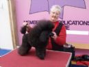 Click to see more details for this dog