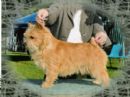 Click to see more details for this dog