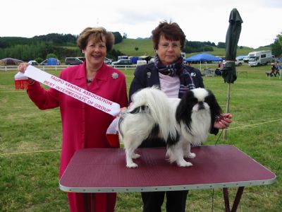 Breed Feature Photo - Unauthorised use prohibited!