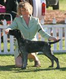 Click to see more details for this dog