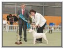 Click to see more details for this dog
