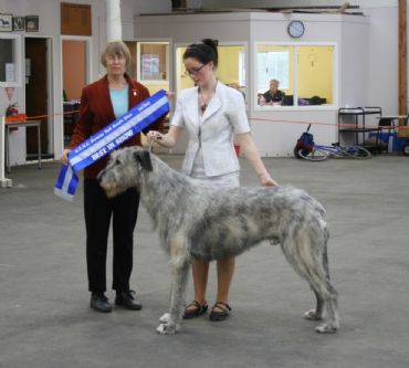 Breed Feature Photo - Unauthorised use prohibited!