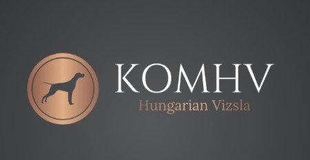 Hungarian Vizsla for sale by KOMHV