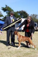 Click to see more details for this dog