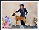 Click to see more details for this dog
