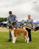 Click to see more details for this dog