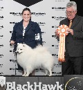 Click to see more details for this dog