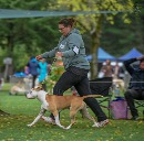 Click to see more details for this dog