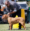 Click to view more details