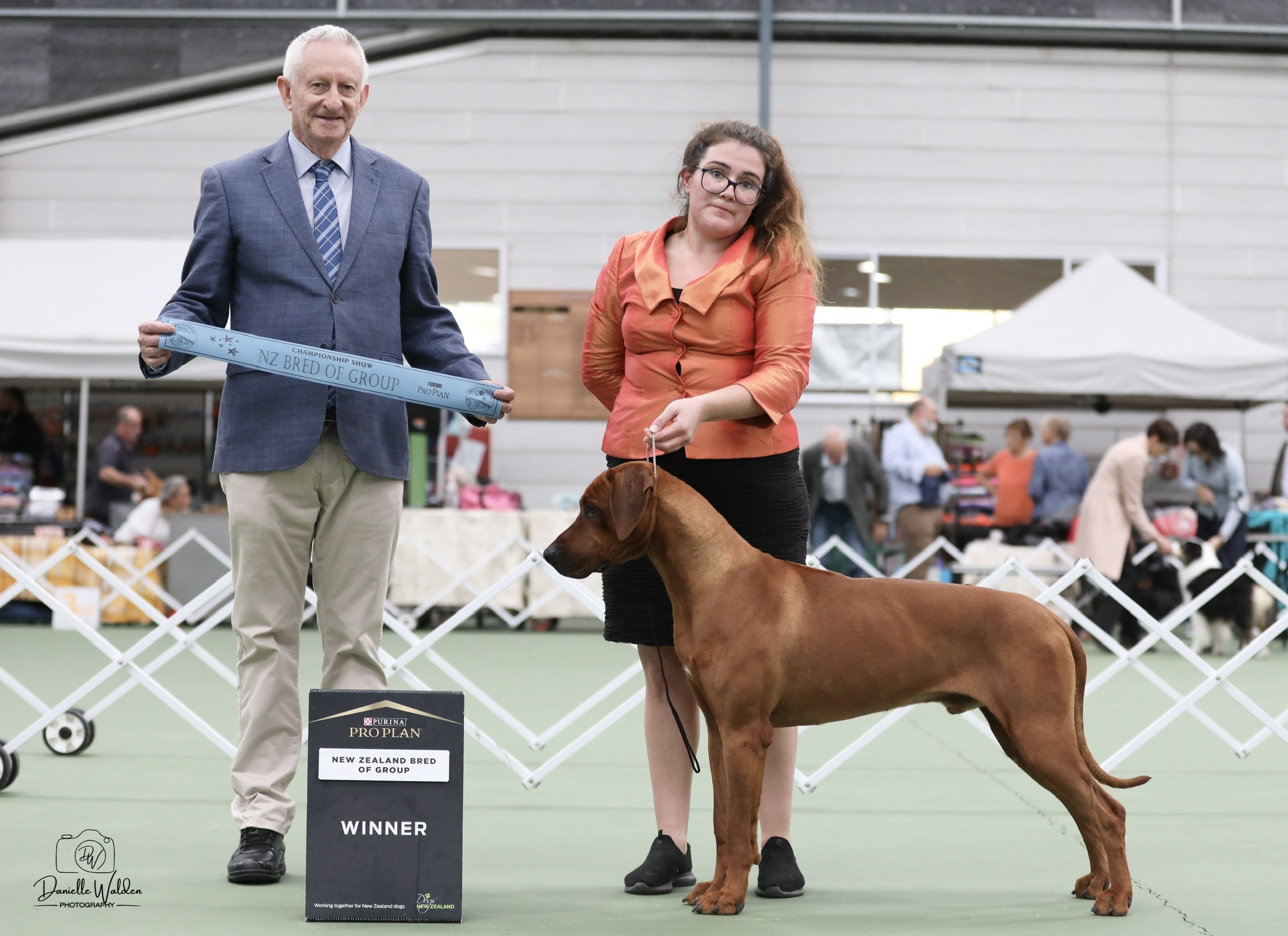 https://www.dogzonline.co.nz/images/profiles/26/05/138256_524202613330.jpg