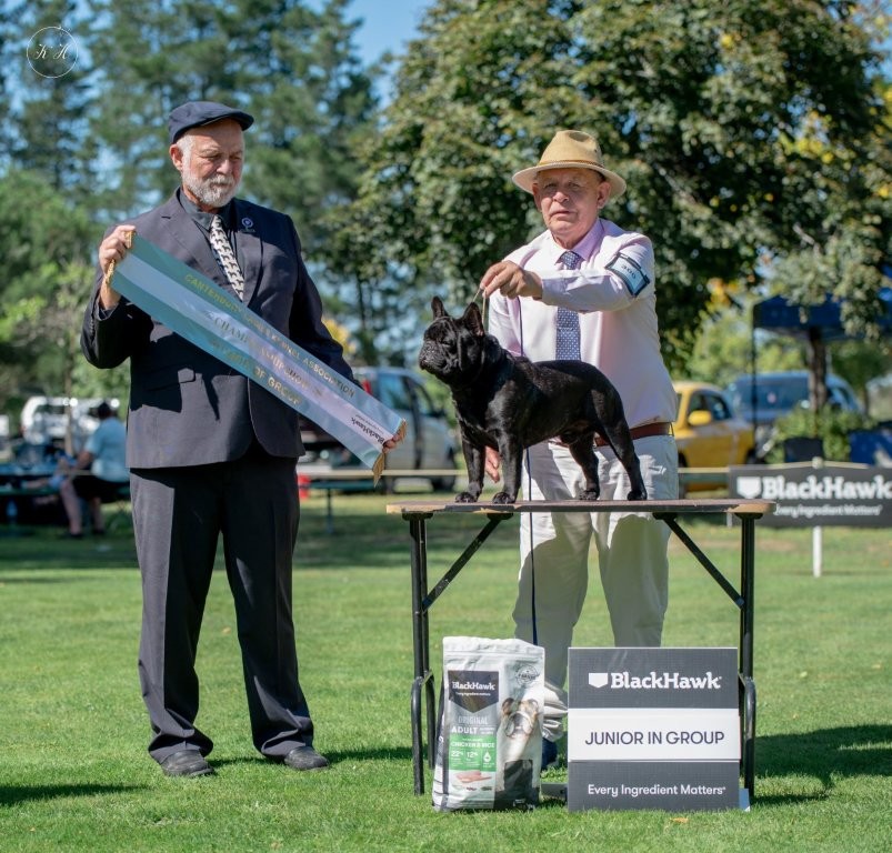 https://www.dogzonline.co.nz/images/profiles/26/05/139131_521202681224.jpg