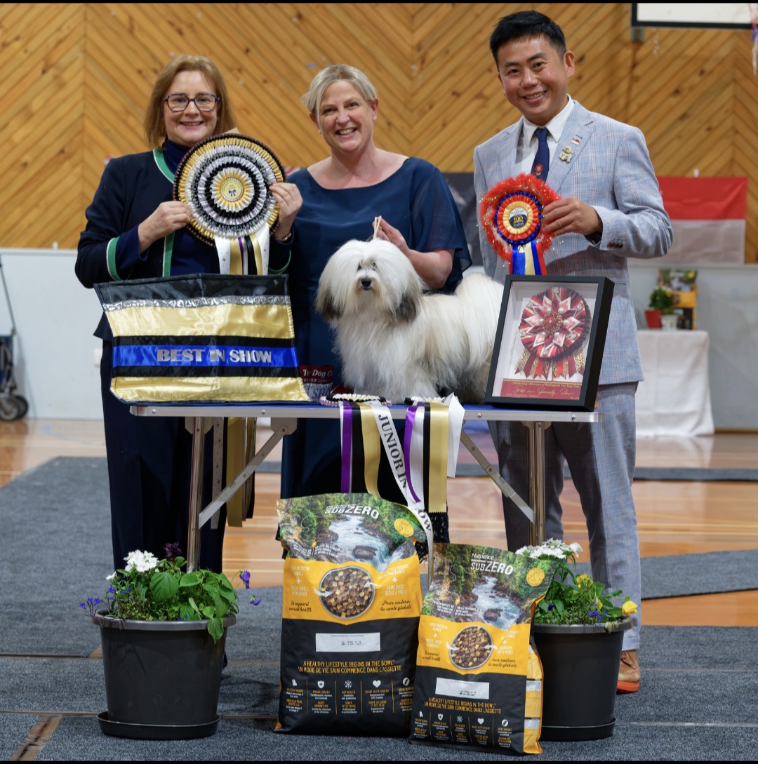 https://www.dogzonline.co.nz/images/profiles/26/05/140804_528202635422.jpg