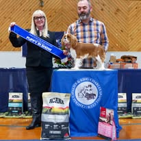 https://www.dogzonline.co.nz/images/profiles/26/05/141935_5252026194955.jpg