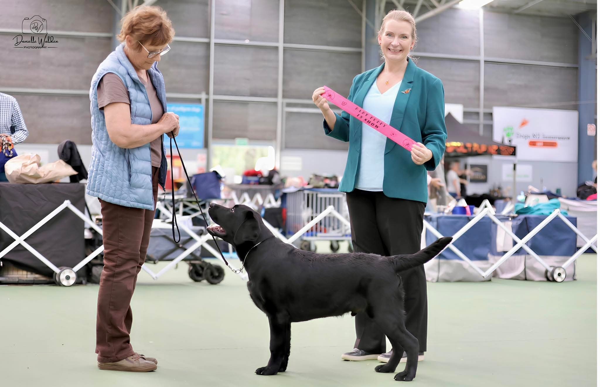 https://www.dogzonline.co.nz/images/profiles/26/05/143119_57202612269.jpg