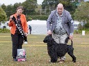 Click to see more details for this dog