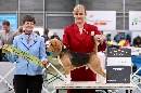Click to see more details for this dog