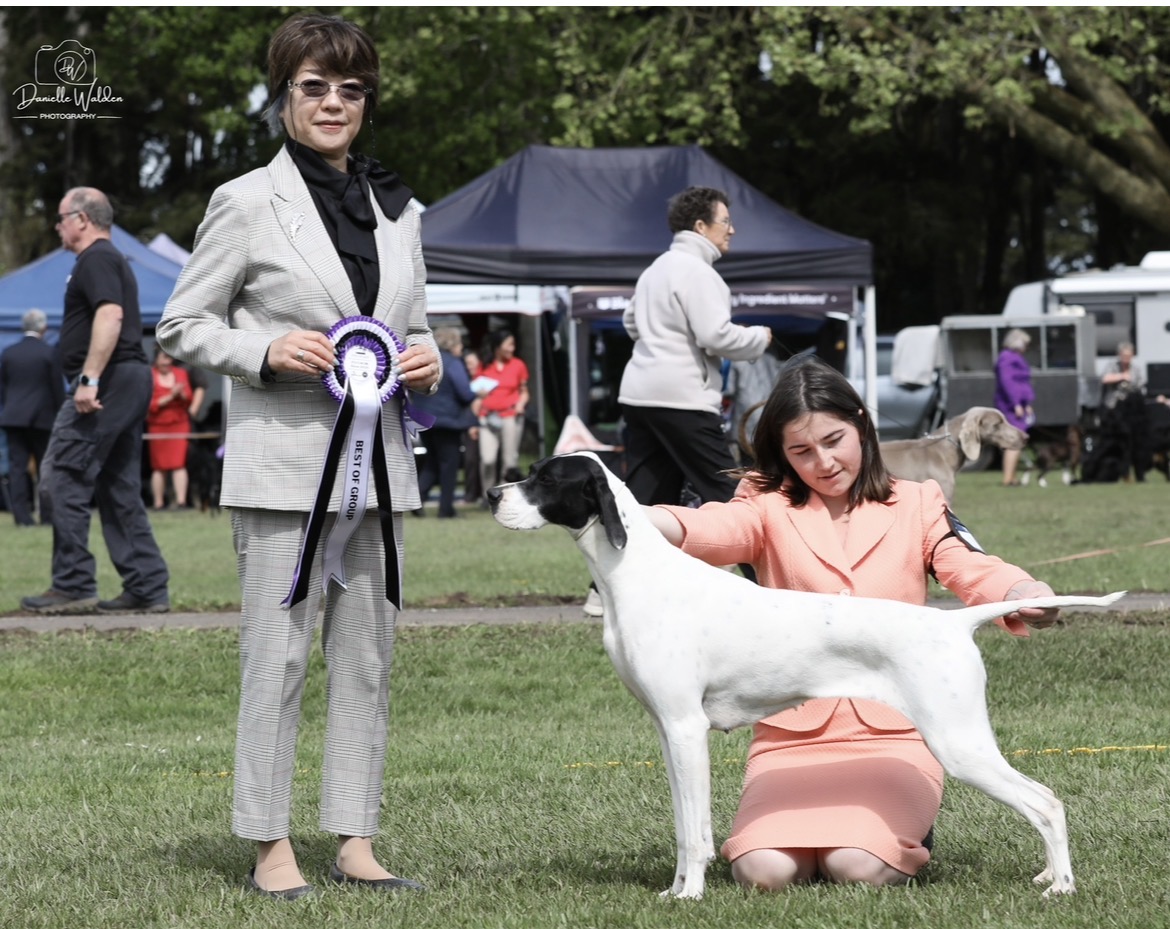 https://www.dogzonline.co.nz/images/profiles/26/06/140070_6132026162812.jpg