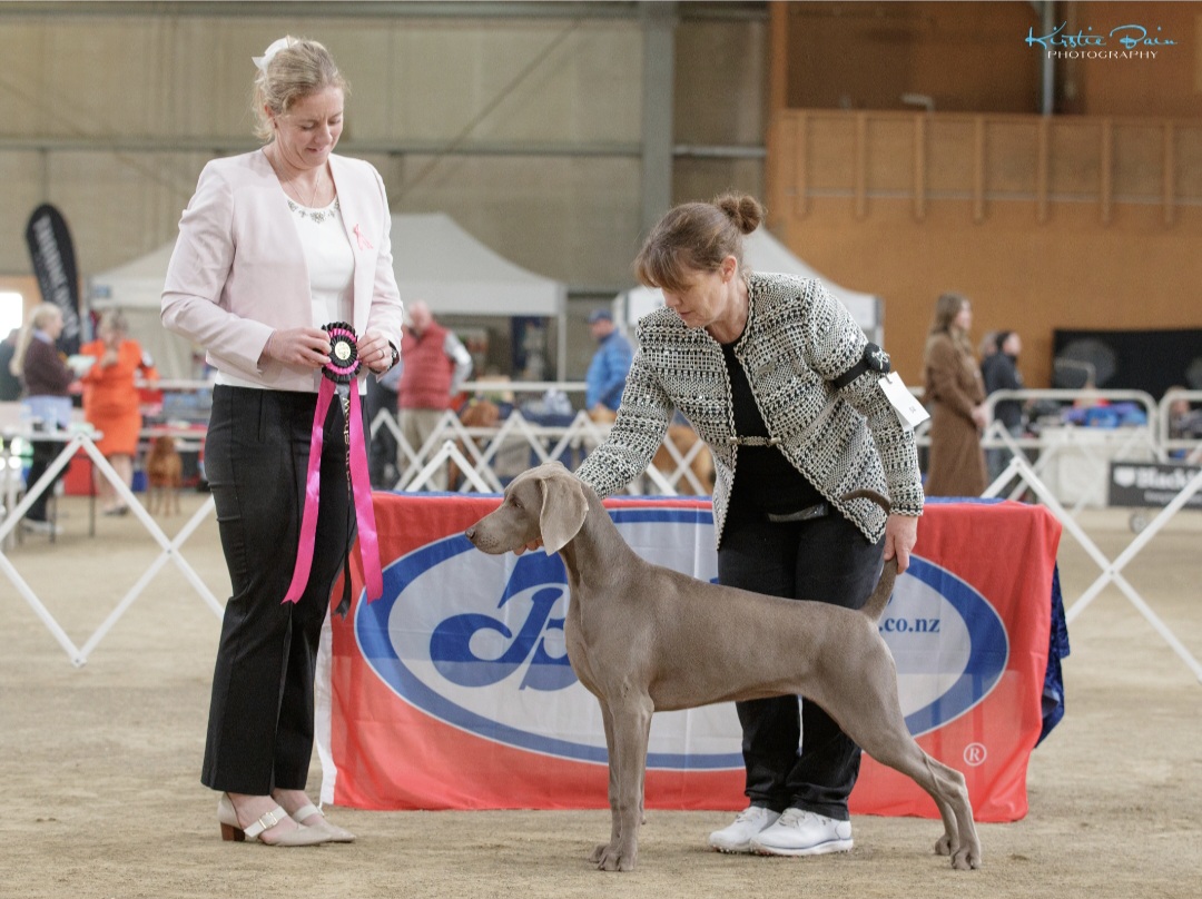 https://www.dogzonline.co.nz/images/profiles/26/06/142177_642026161450.jpg