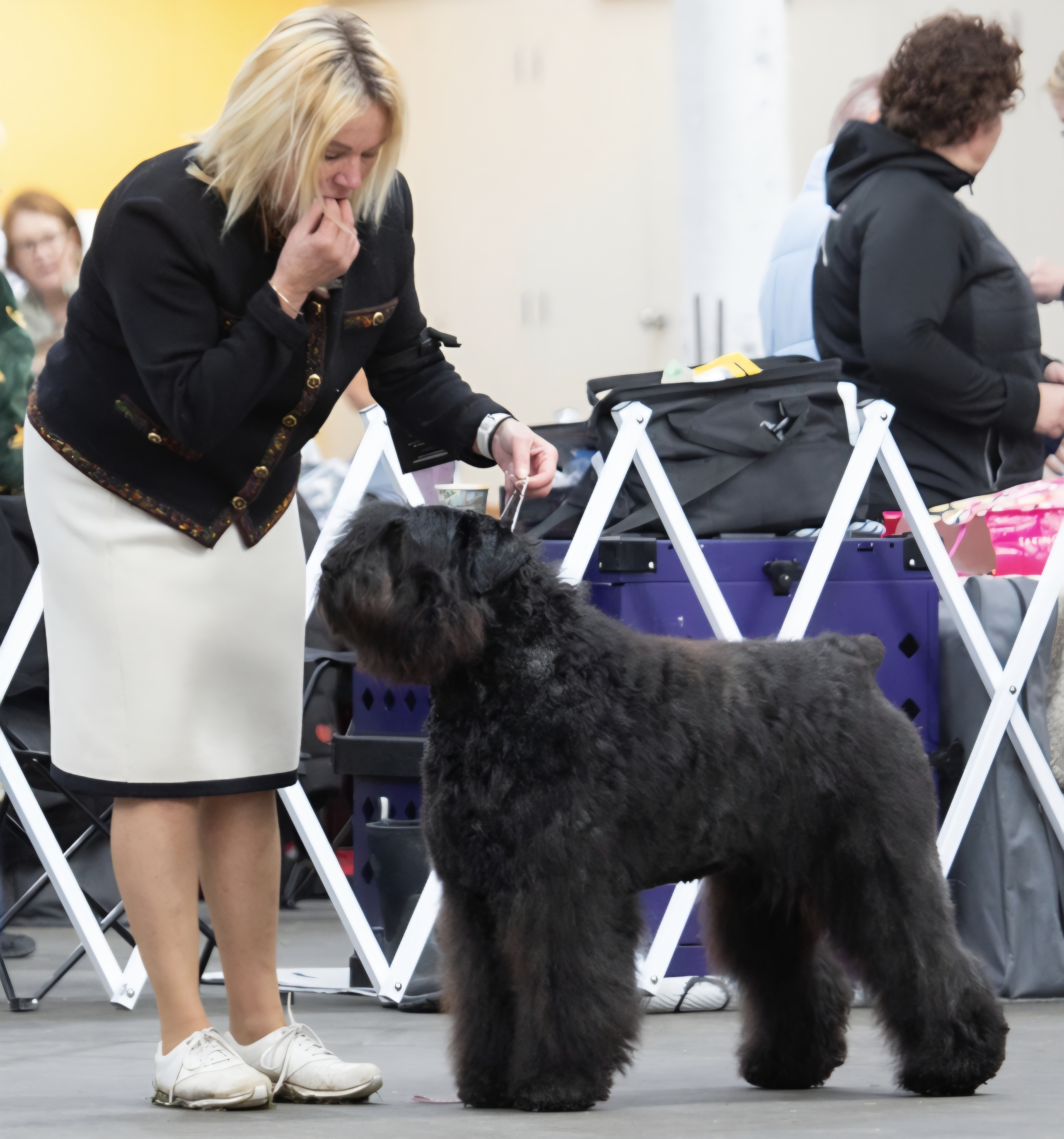 https://www.dogzonline.co.nz/images/profiles/26/06/142538_63202617451.jpg