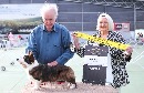Click to see more details for this dog