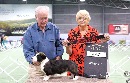 Click to see more details for this dog