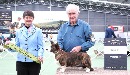 Click to see more details for this dog