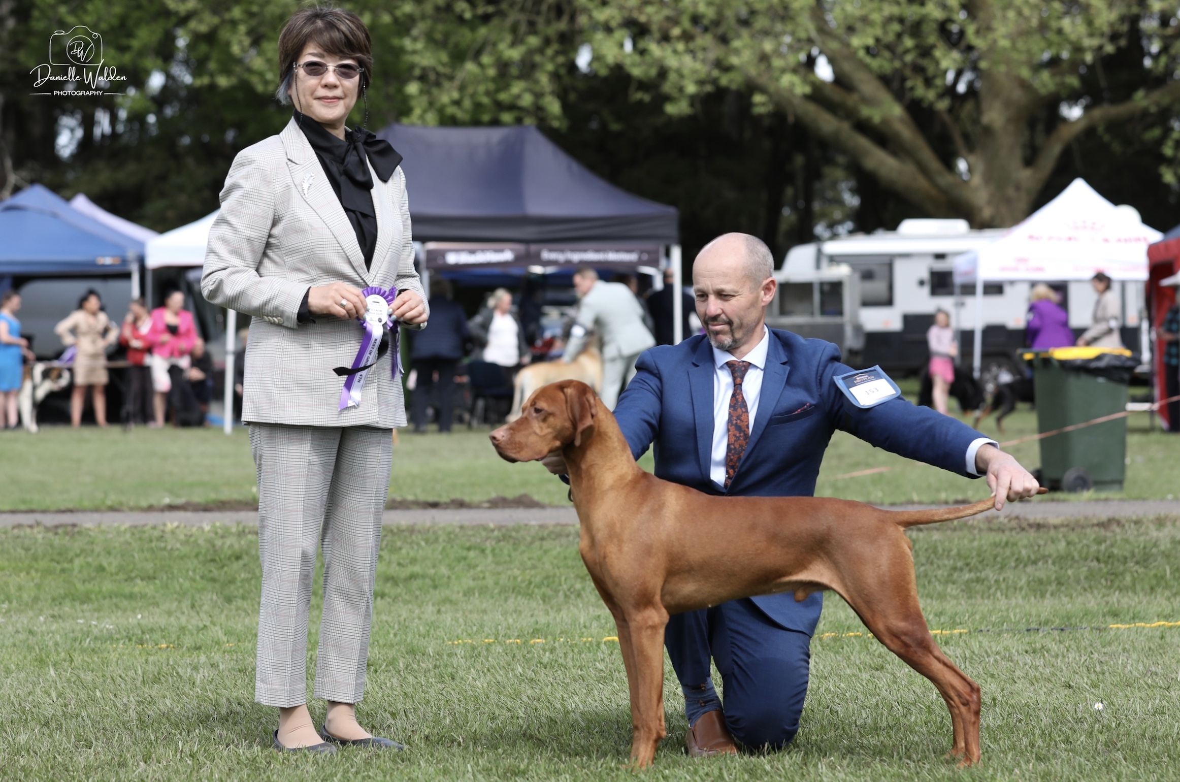 https://www.dogzonline.co.nz/images/profiles/26/06/144109_612026195351.jpg