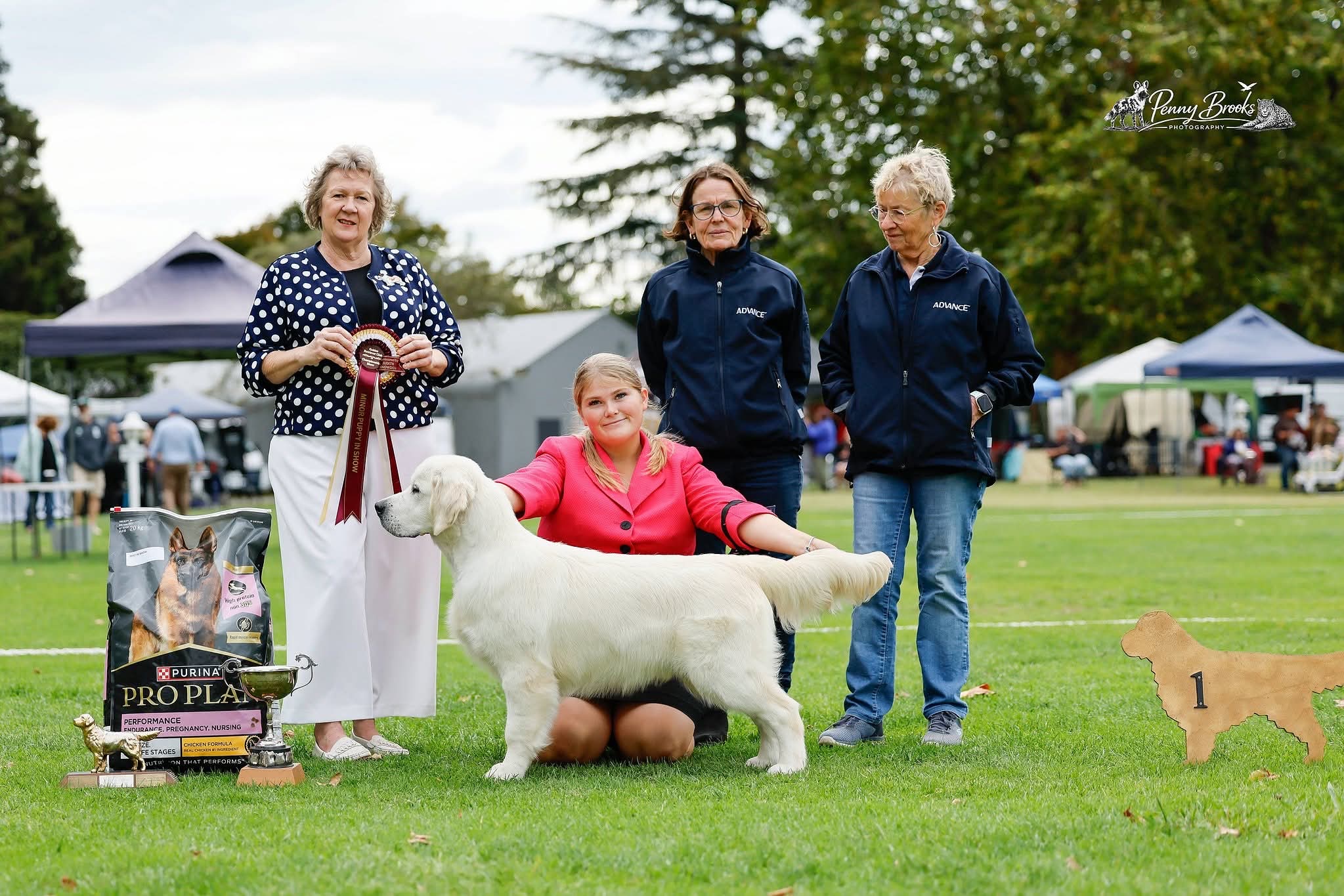 https://www.dogzonline.co.nz/images/profiles/26/06/144191_61020267303.jpg