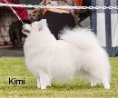 Click to see more details for this dog
