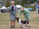 Click to see more details for this dog