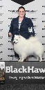 Click to see more details for this dog