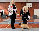 Click to see more details for this dog